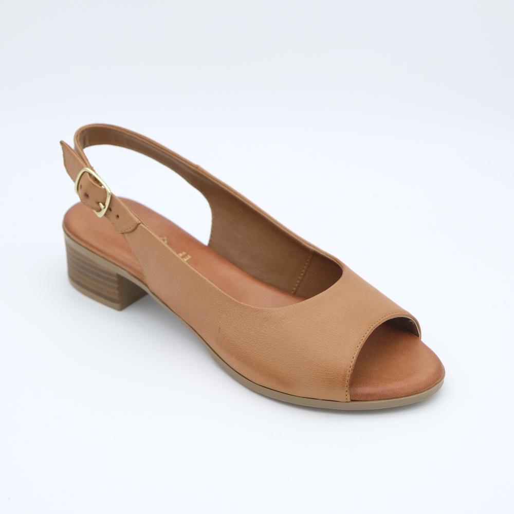 02237_22|e00f4439131d0451d8eb63fdd5106a28