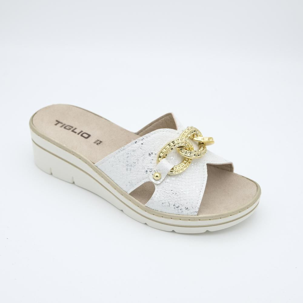 02284_100|62b5bc70230ee13c1ae483e01bfe3a9a