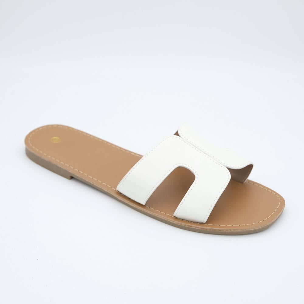 02294_8|c37bf0aedcce0db3b69b35abbdde5716