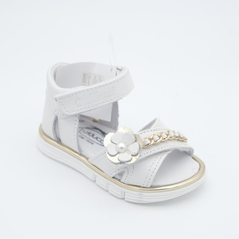 02302_8|e3052b8f6ba35beb610eb9743710fd50