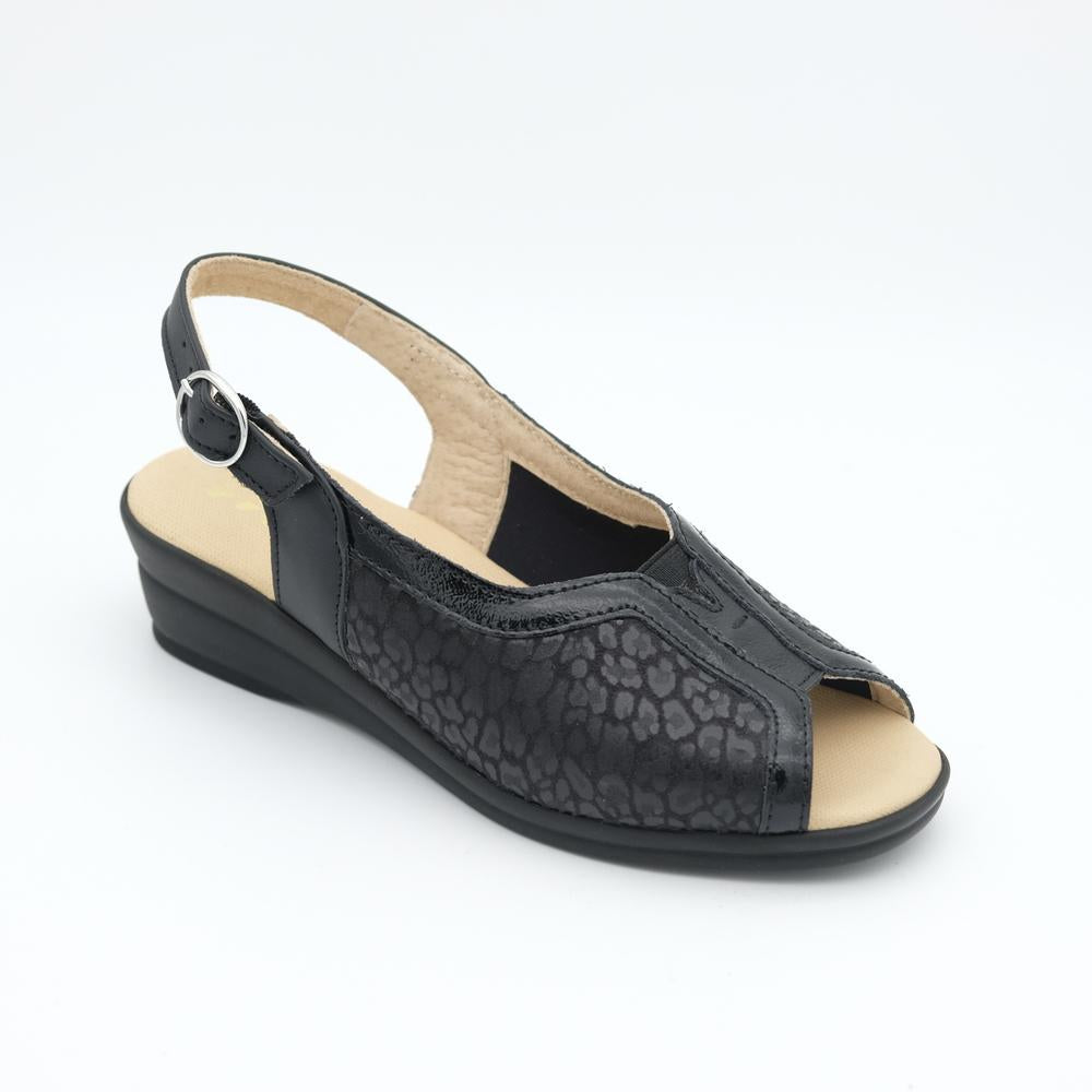 02310_1|ac63c9899e12a630dcd88f56e547fb51