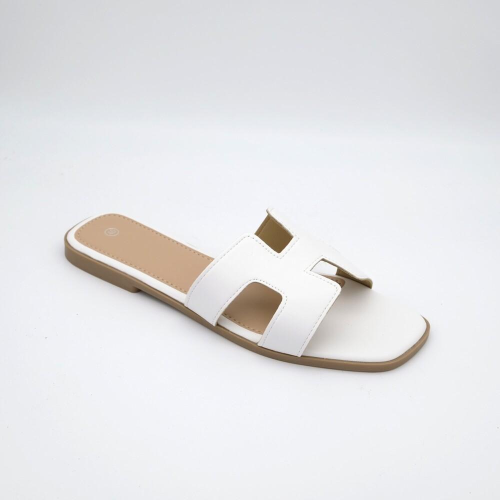 02355_8|0919669044ecf2ece5a9f9541207c6bf