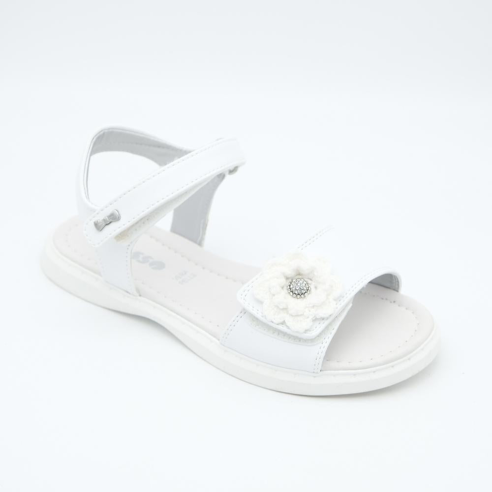 02366_8|6762150c0c42dd66bd4283aaf0c04385