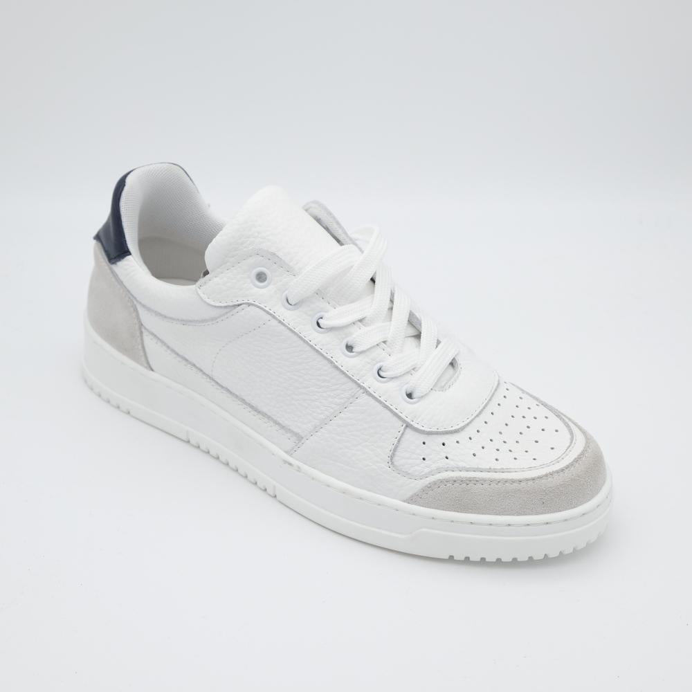 02427_8|c69d2187c7dd28bcc497d645a3cfa3de