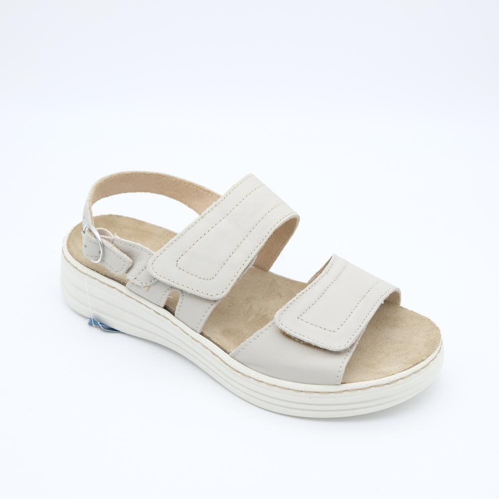 02442_19|05efec7d8149e5813a3e484d22f2c1f5