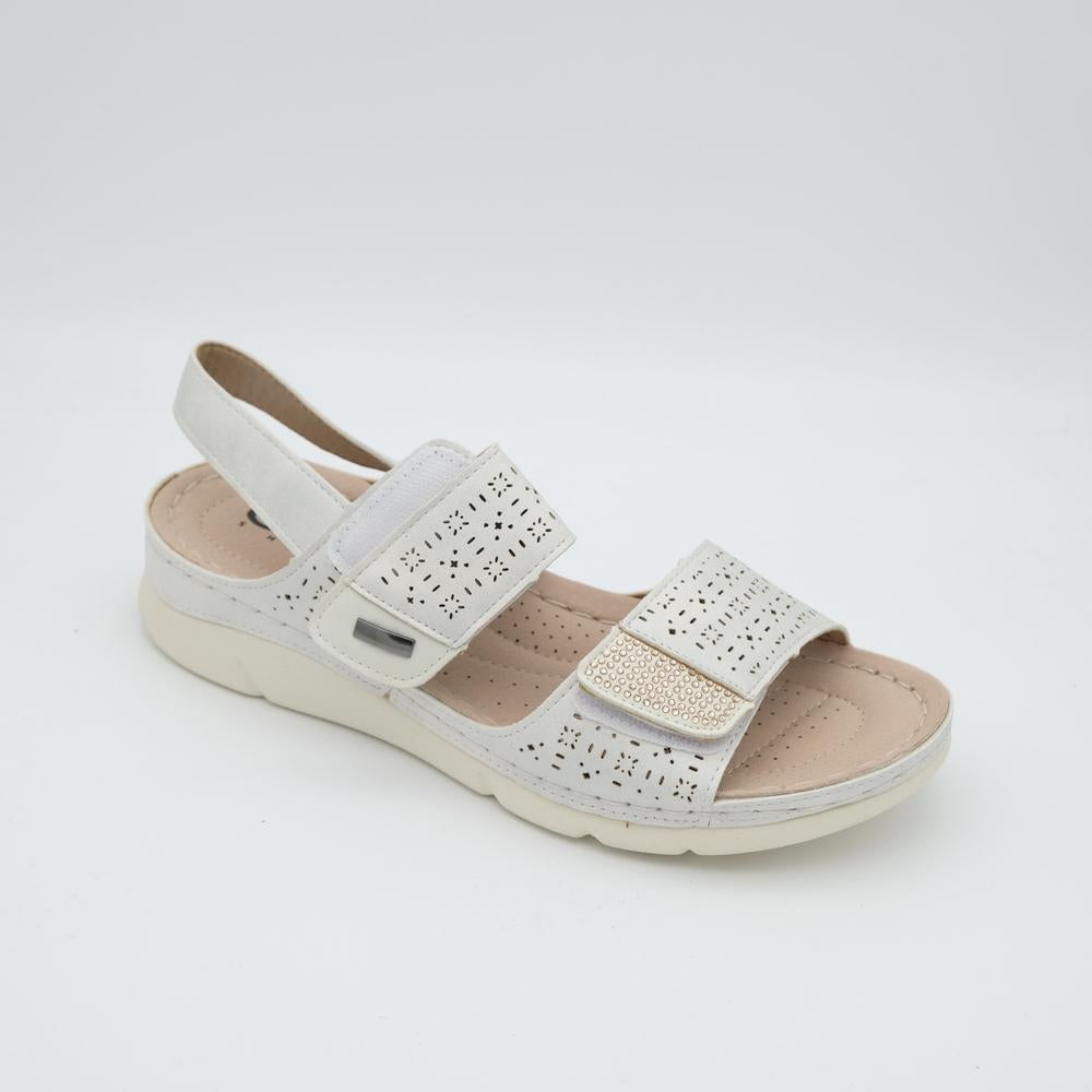 02456_8|c7b1ce4289ac47a95fe9218b1b4e07f6