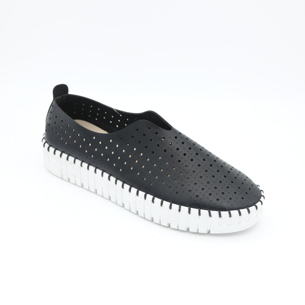 02555_1|eb53a6db10078c418bc43b2f67b8793b