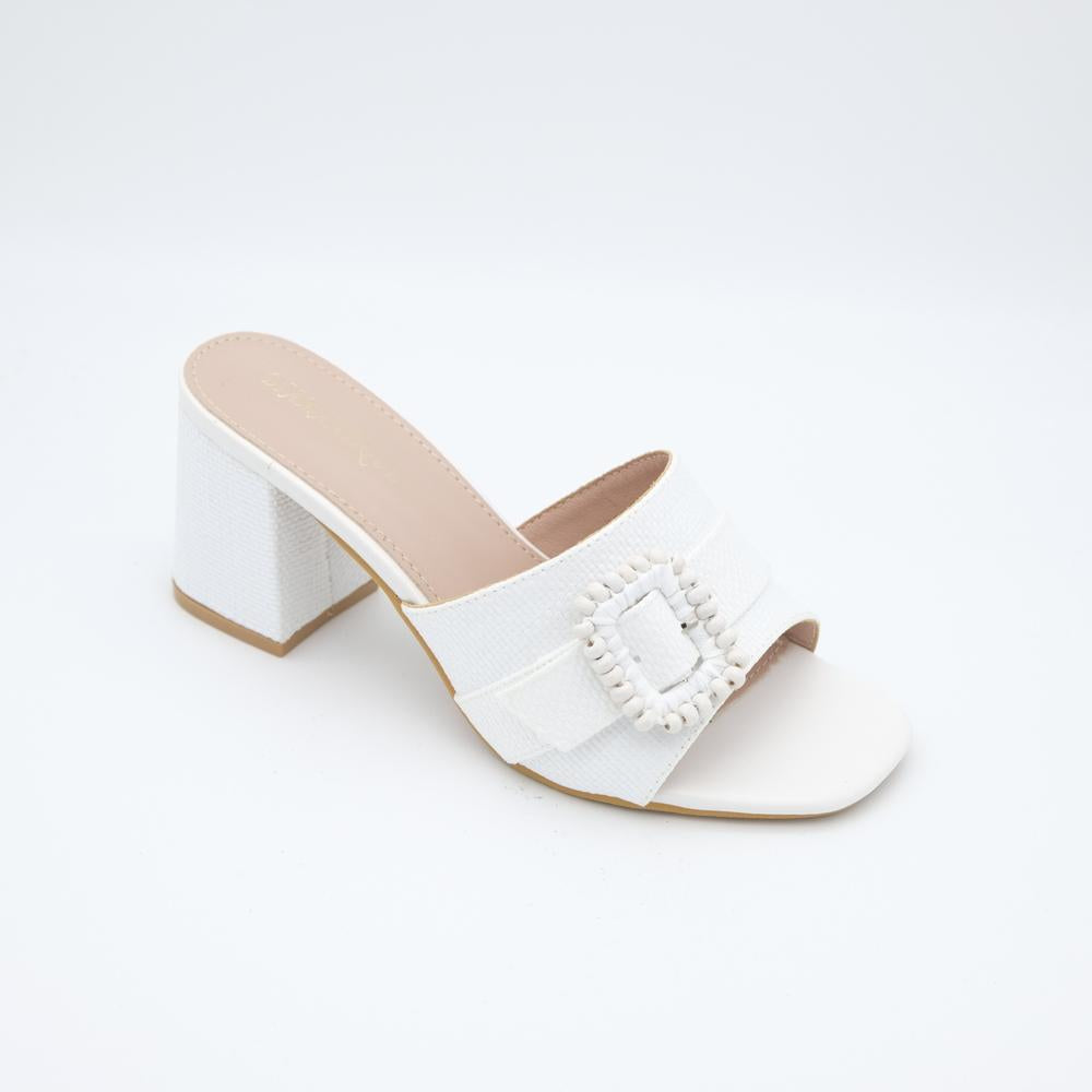 02556_8|a1d3671df1d7d61f4b4b1438c88248c3