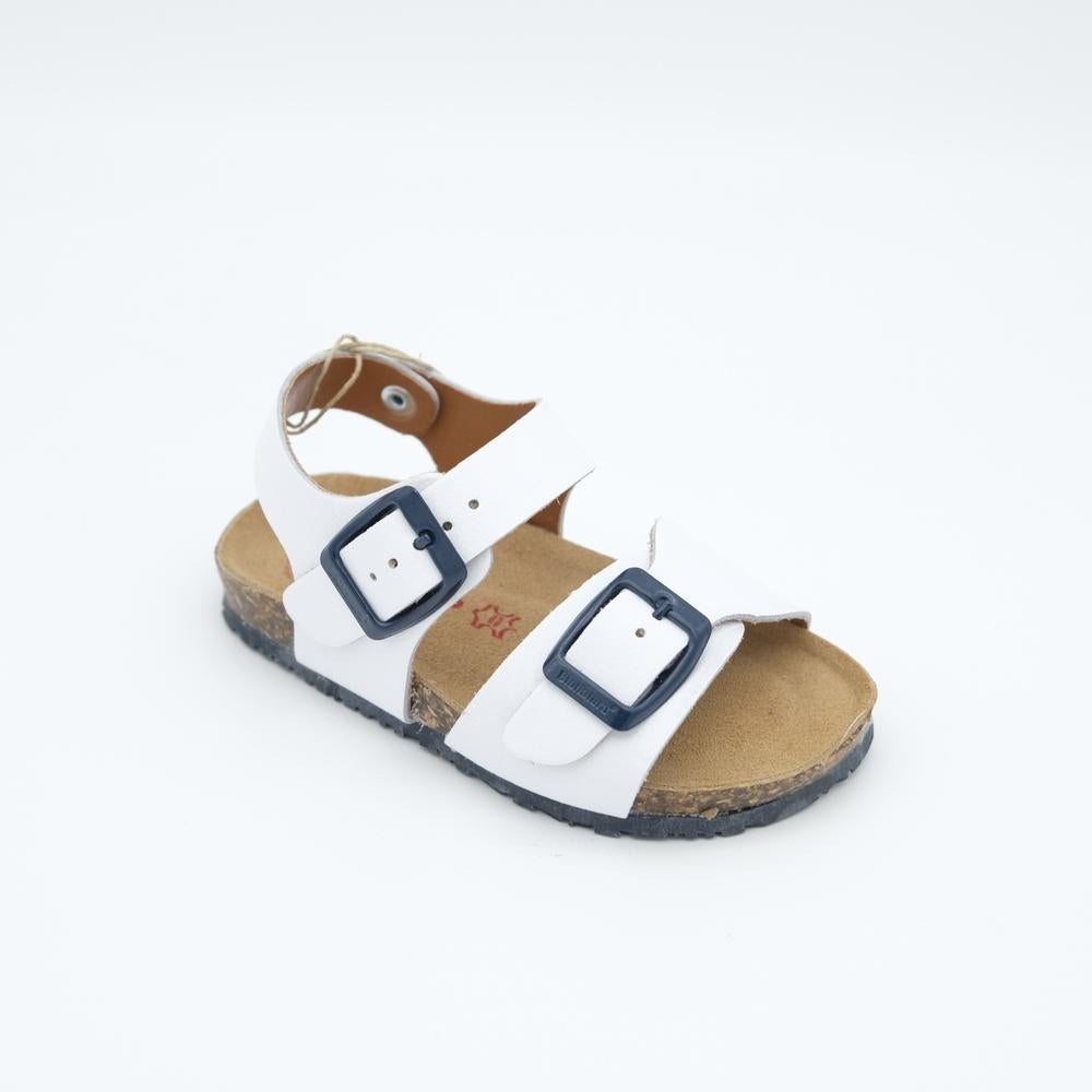 02641_8|5923df03b524bfdbc430aabcd80bd4aa