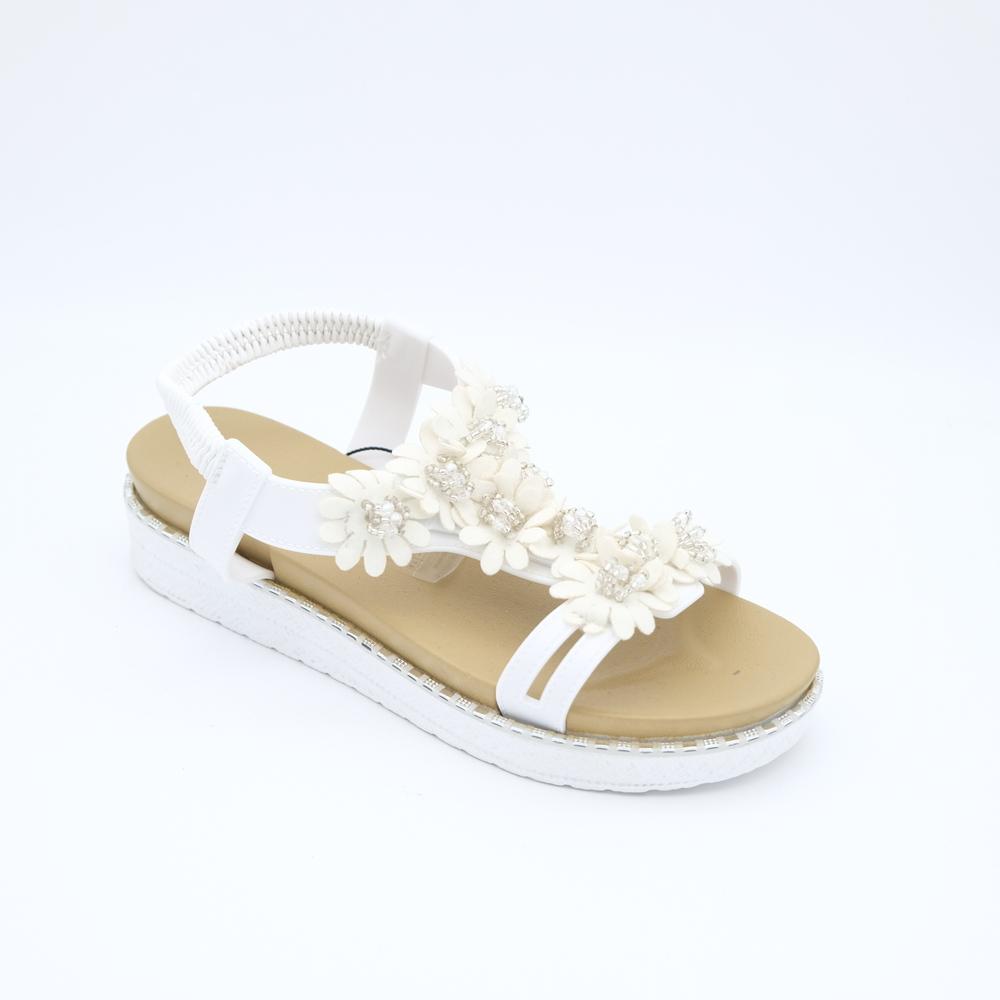 02714_8|afddcae85e3413df7e49d5c7ba6fefe0