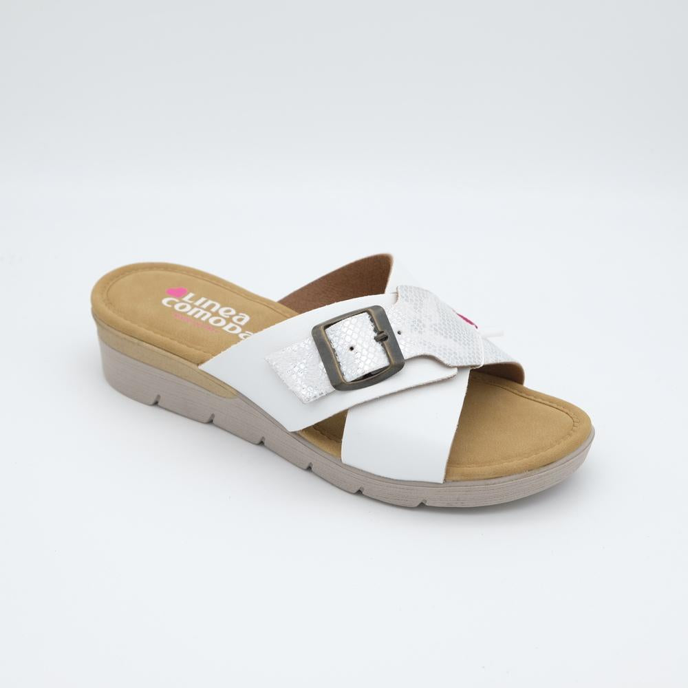 02770_8|55245440aeb1709434724a022ae24a23