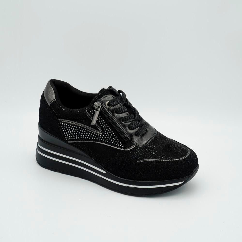 03197_1|181cce1e5cc50129765019a590a78011