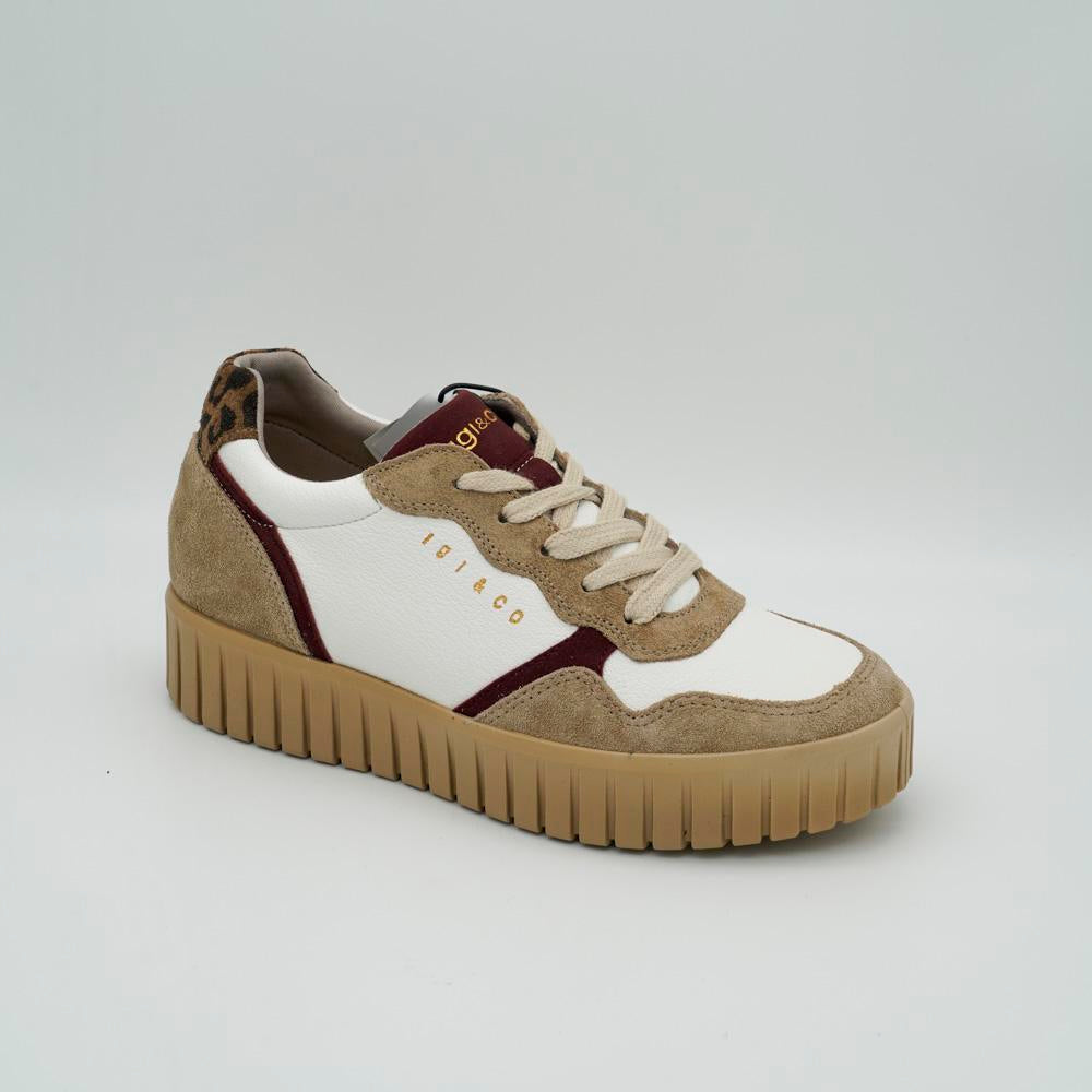 03437_53|6be93e55041c0d2257965d83e0838d7f