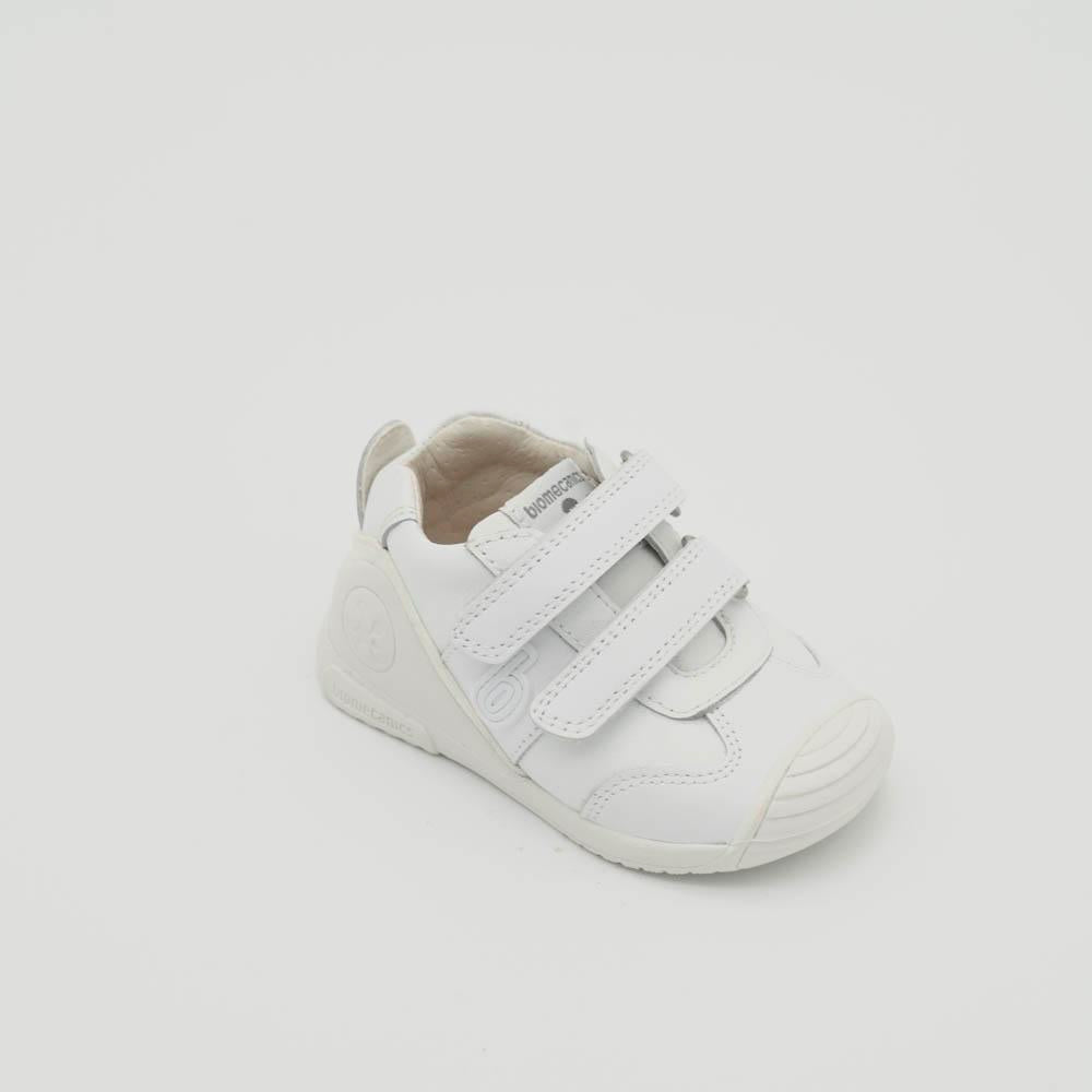 03537_8|c99a5d39a8e6bf39980685d8cac7e05e