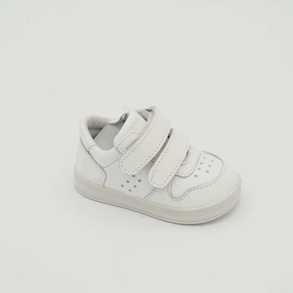 03642_8|ab7e91023db5a1a98da4648edc1fb9d7