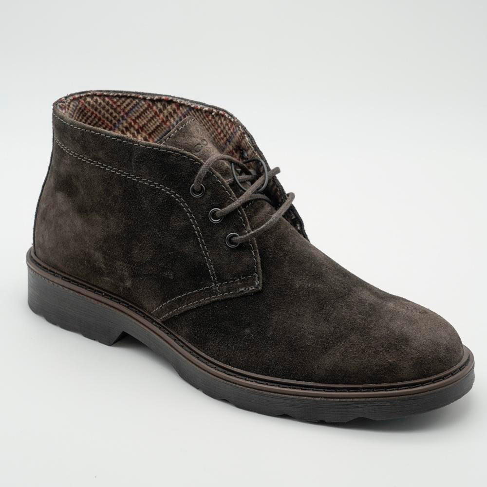 03710_15|e04d0697cfffb99fb9ce40e9d9115434