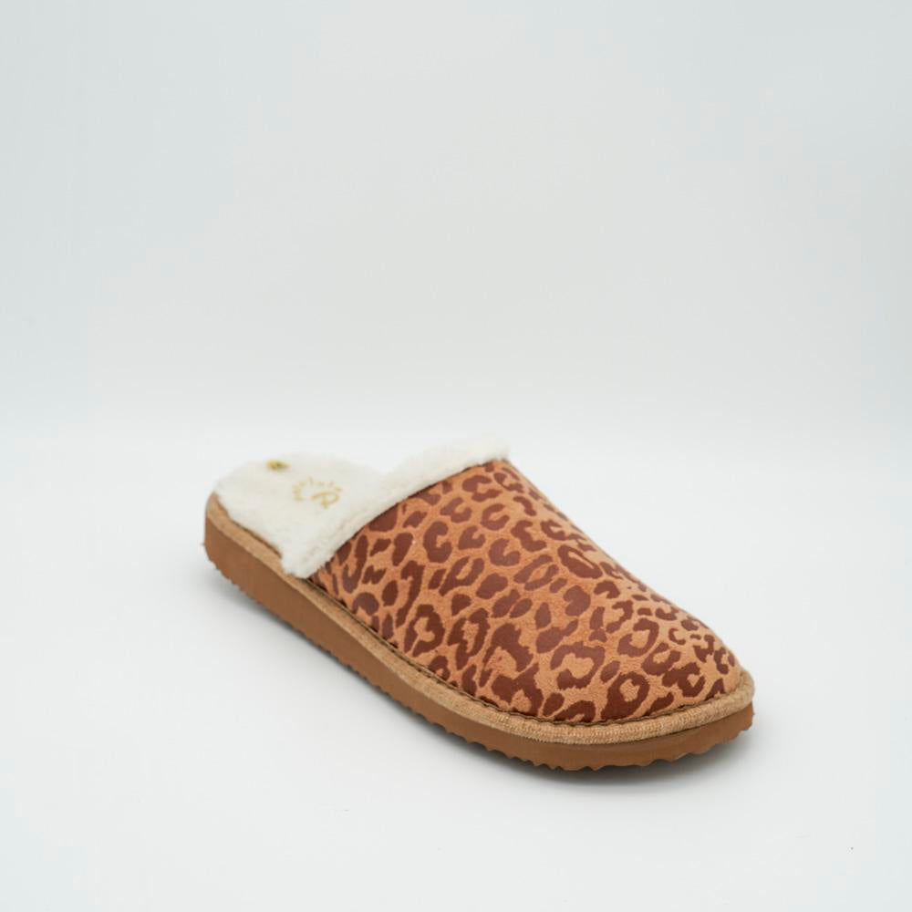 03911_4|79e2fcc5a8c3a6f12a25b1a7eb7dc9b1