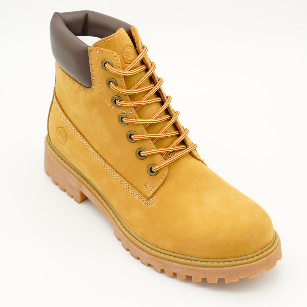 03916_31|153a4111075afe273e01a7a29f6e38f9