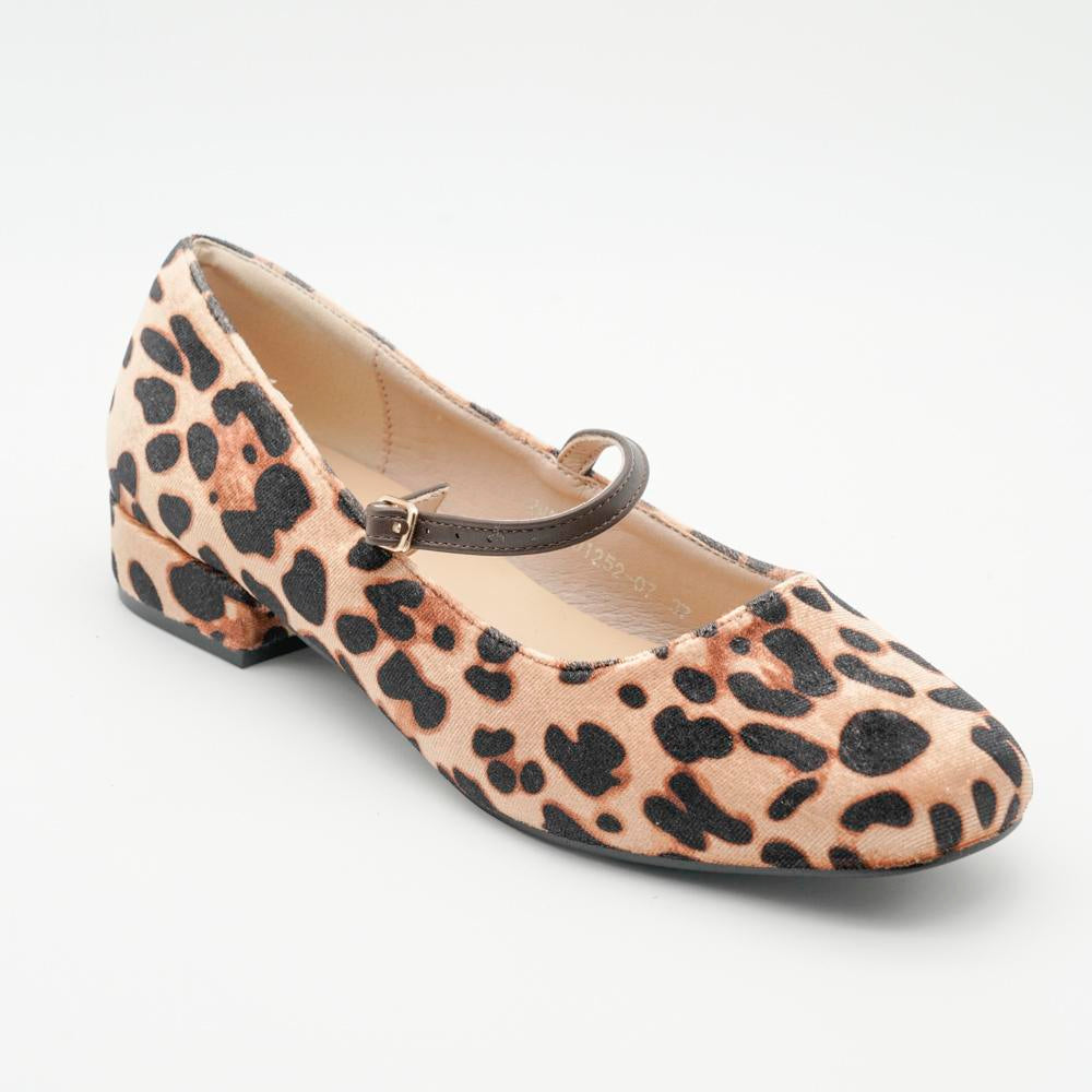 04553_20|9dfc13404de578312ca0912257f3ff6e